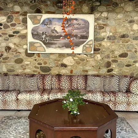 Aparthotel Ca' Hemingway